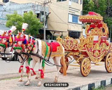 Horse-chariot-for-Wedding